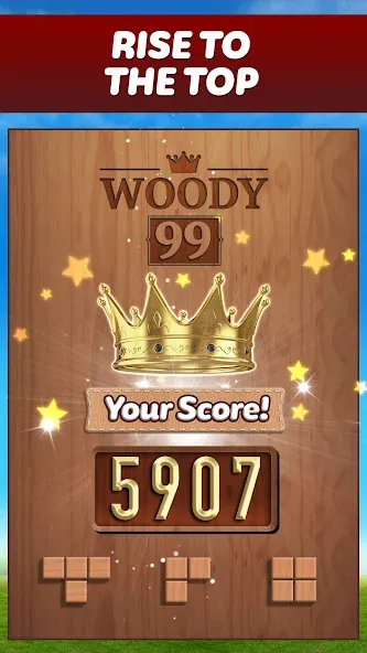 Woody 99 - Sudoku Block Puzzle (Вуди 99)  [МОД Mega Pack] Screenshot 5