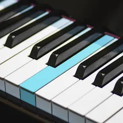 Скачать взломанную Real Piano electronic keyboard (Риал Пиано)  [МОД Бесконечные деньги] - полная версия apk на Андроид