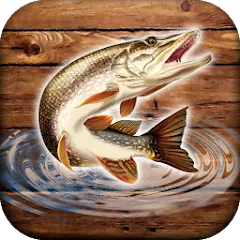 Взломанная Fish rain: sport fishing  [МОД Много монет] - последняя версия apk на Андроид