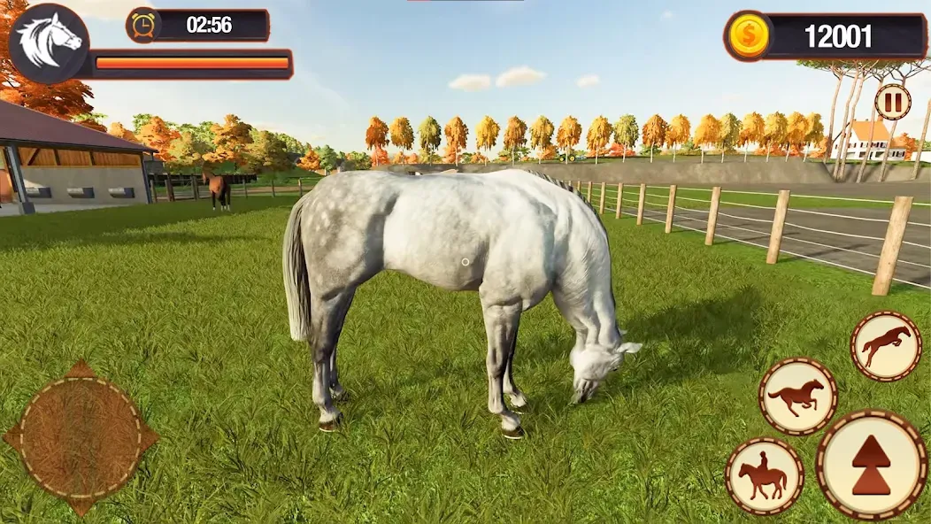 My Horse Herd Care Simulator (Мой симулятор ухода за стадом лошадей)  [МОД Много денег] Screenshot 5