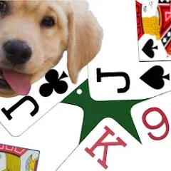 Скачать взломанную K9 Euchre (К9 Юкер)  [МОД Все открыто] - стабильная версия apk на Андроид