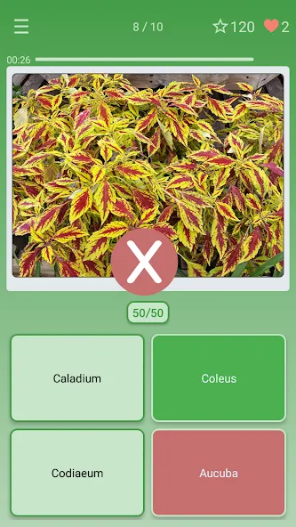 Quiz: Flowers, Plants  [МОД Много монет] Screenshot 3